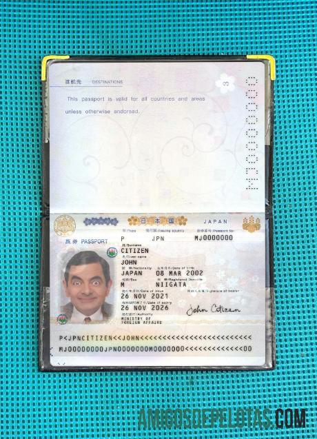 Passaporte do Japão 2021 Presente Photolook baixar para verificação